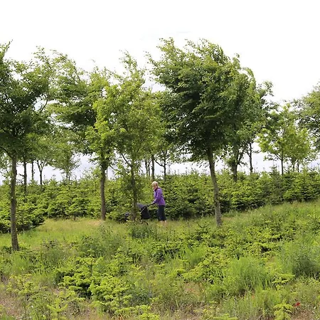 Skelgaard Ferielejlighed