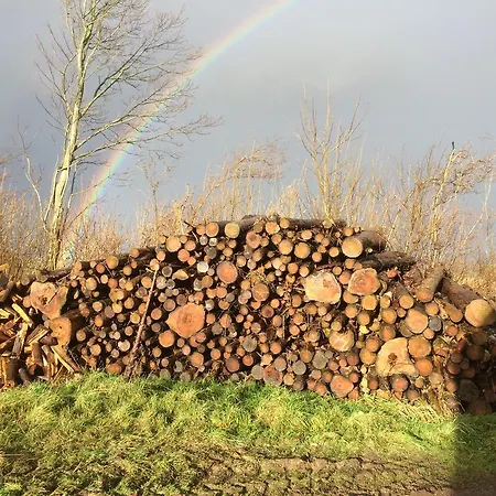 Skelgaard Ferielejlighed Apartamento *