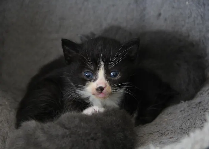 Skelgaard Ferielejlighed