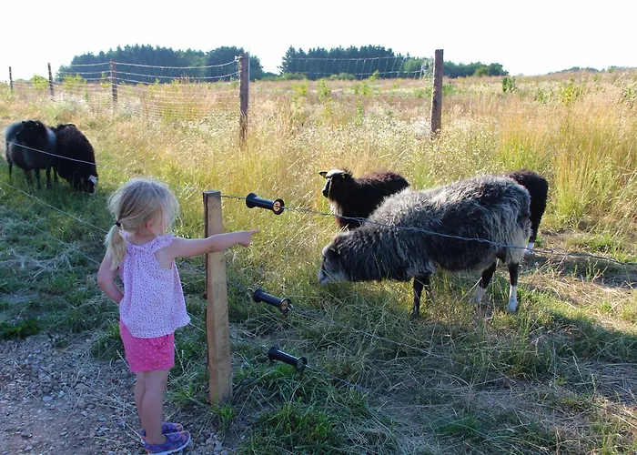 Skelgaard Ferielejlighed * Jelling